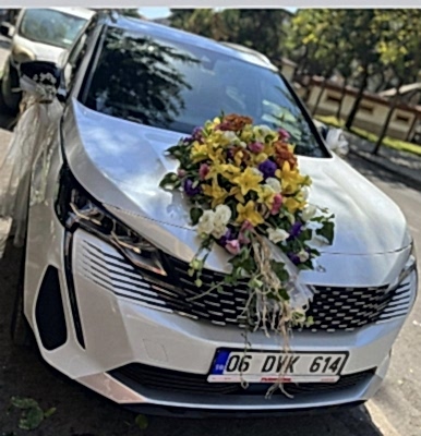 Gelin Arabası 3